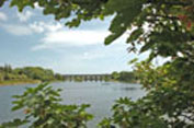 Cork Coll pic 5
